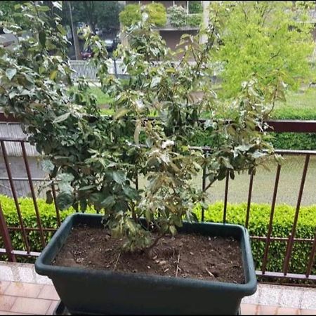 Bergamo & Dintorni Otel Dış mekan fotoğraf